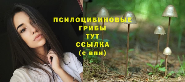 дмт Медвежьегорск