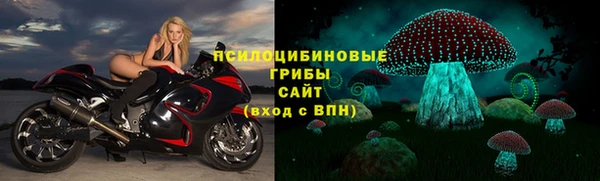 СК Мегион