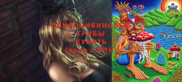 дмт Медвежьегорск