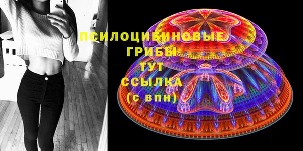 apvp Абаза