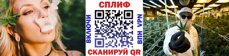 Конопля MAZAR  где можно купить   нарко площадка официальный сайт  Торопец 
